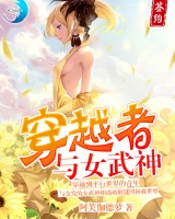 穿越者與女武神