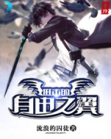 進(jìn)擊的自由之翼