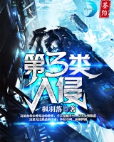 第三類入侵