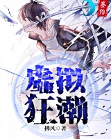 虛擬狂潮