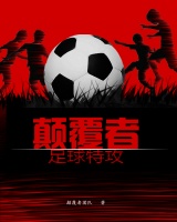 颠覆者：足球特攻