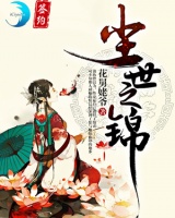塵世之錦2