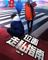 位面走私指南