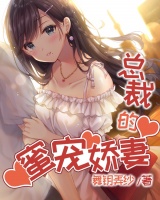 總裁的蜜寵嬌妻