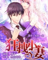 狂拽小妻